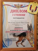На базе УФСИН России по Владимирской области в г. Суздаль, прошел Чемпионат ФСИН России по многоборью специалистов-кинологов.